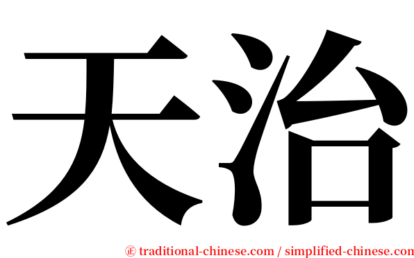 天治 serif font