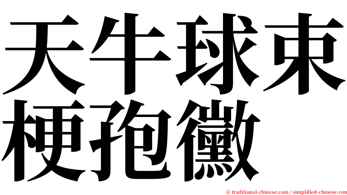 天牛球束梗孢黴 serif font