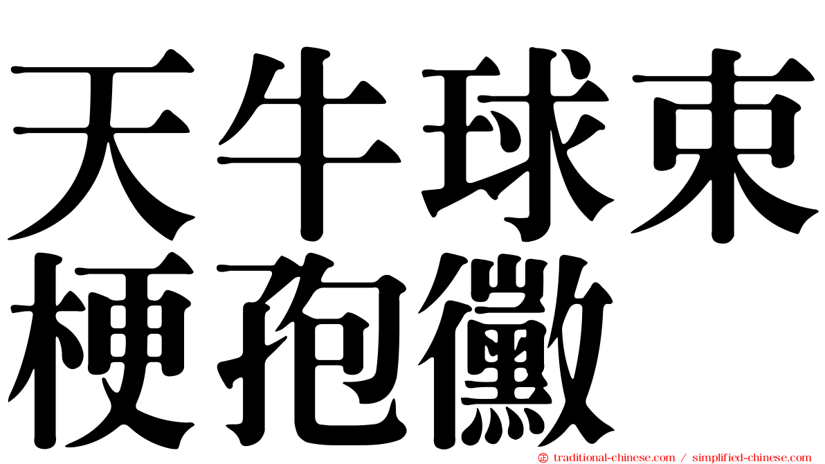 天牛球束梗孢黴