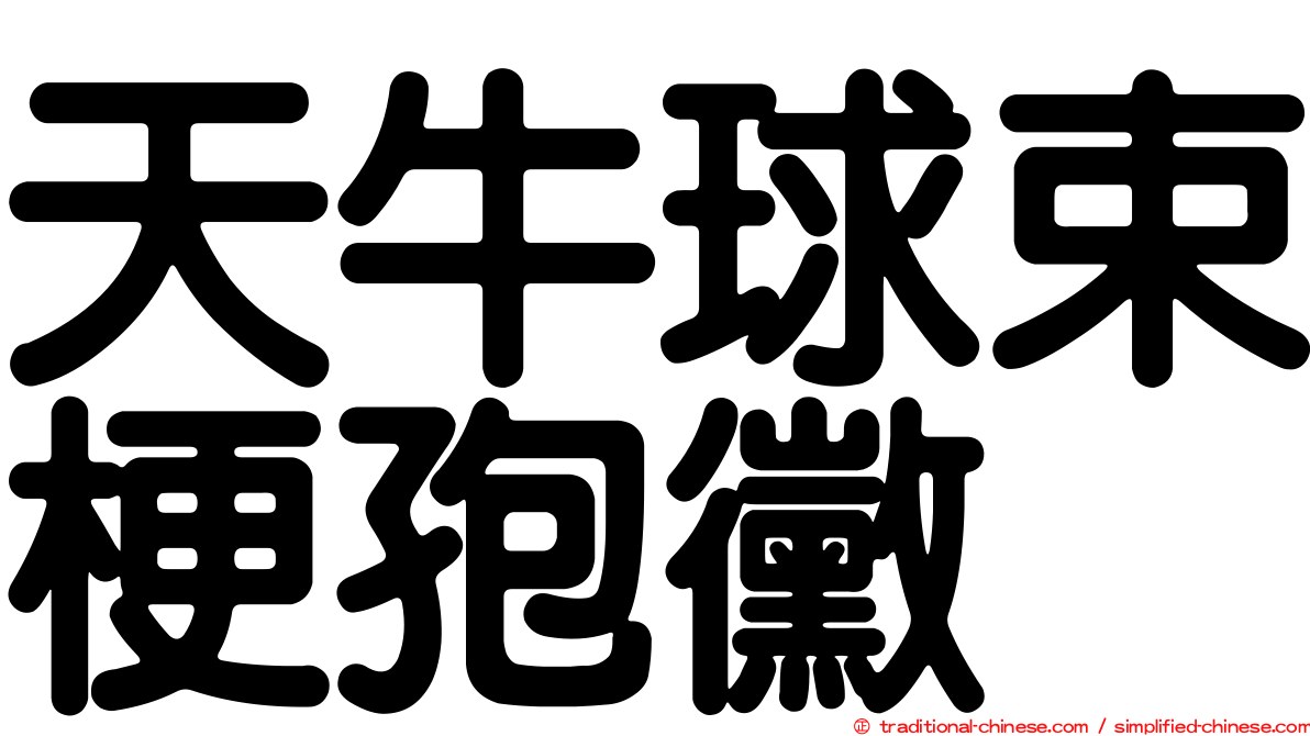 天牛球束梗孢黴