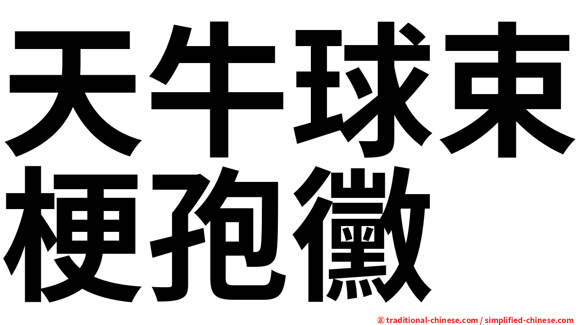 天牛球束梗孢黴