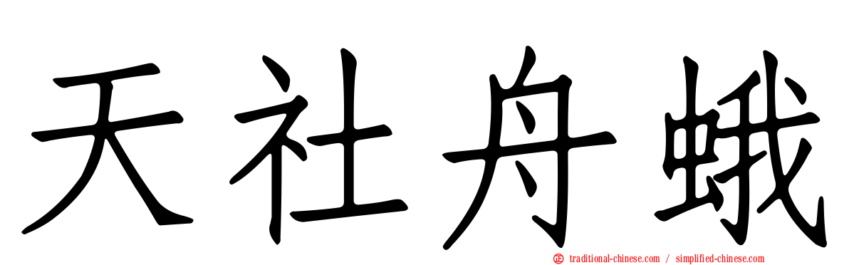天社舟蛾