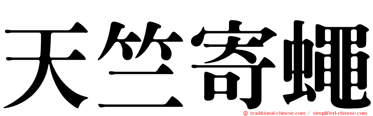 天竺寄蠅