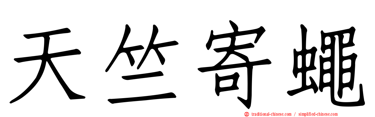 天竺寄蠅