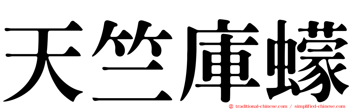 天竺庫蠓