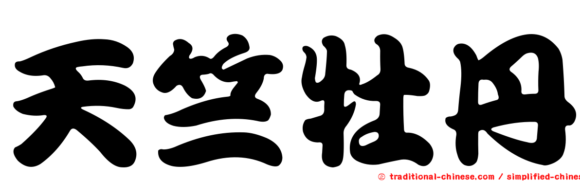 天竺牡丹