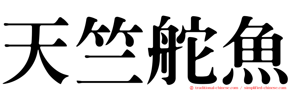 天竺舵魚