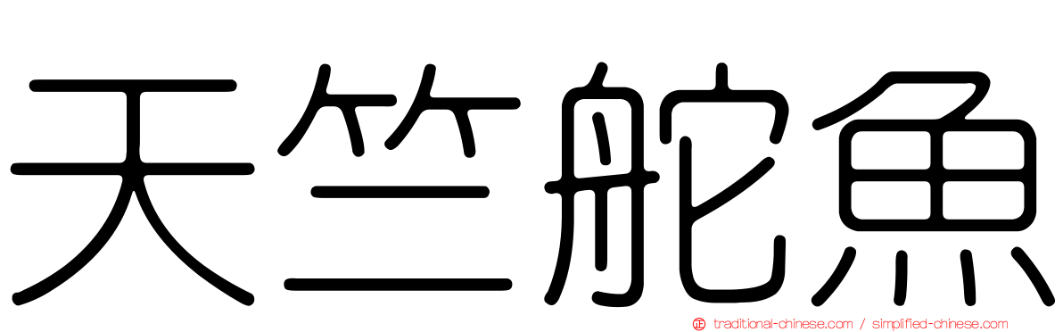 天竺舵魚