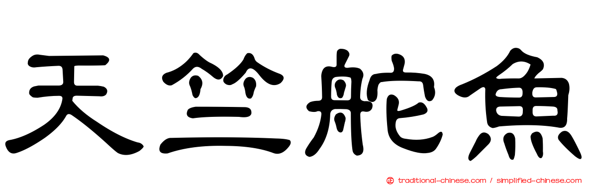 天竺舵魚