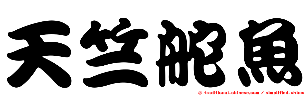 天竺舵魚