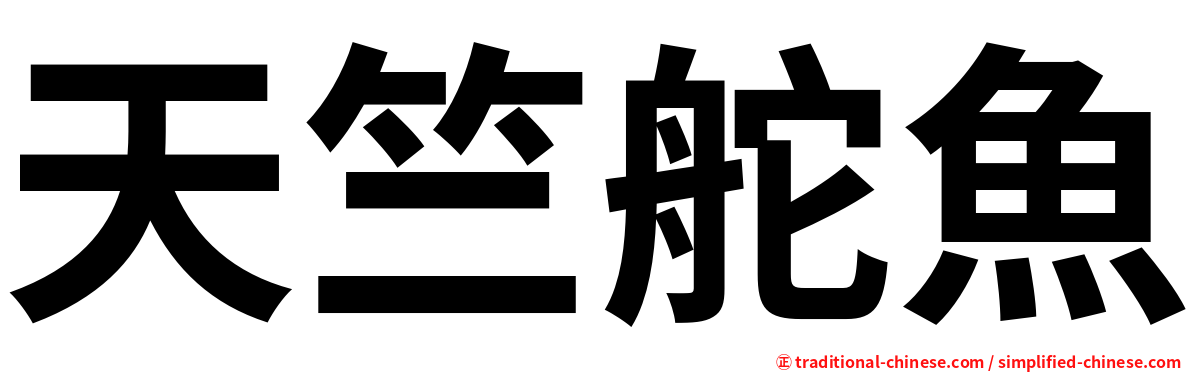 天竺舵魚