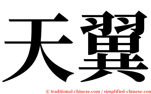 天翼 serif font
