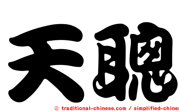 天聰
