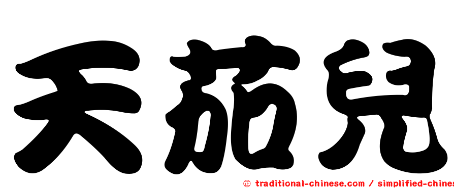 天茄兒