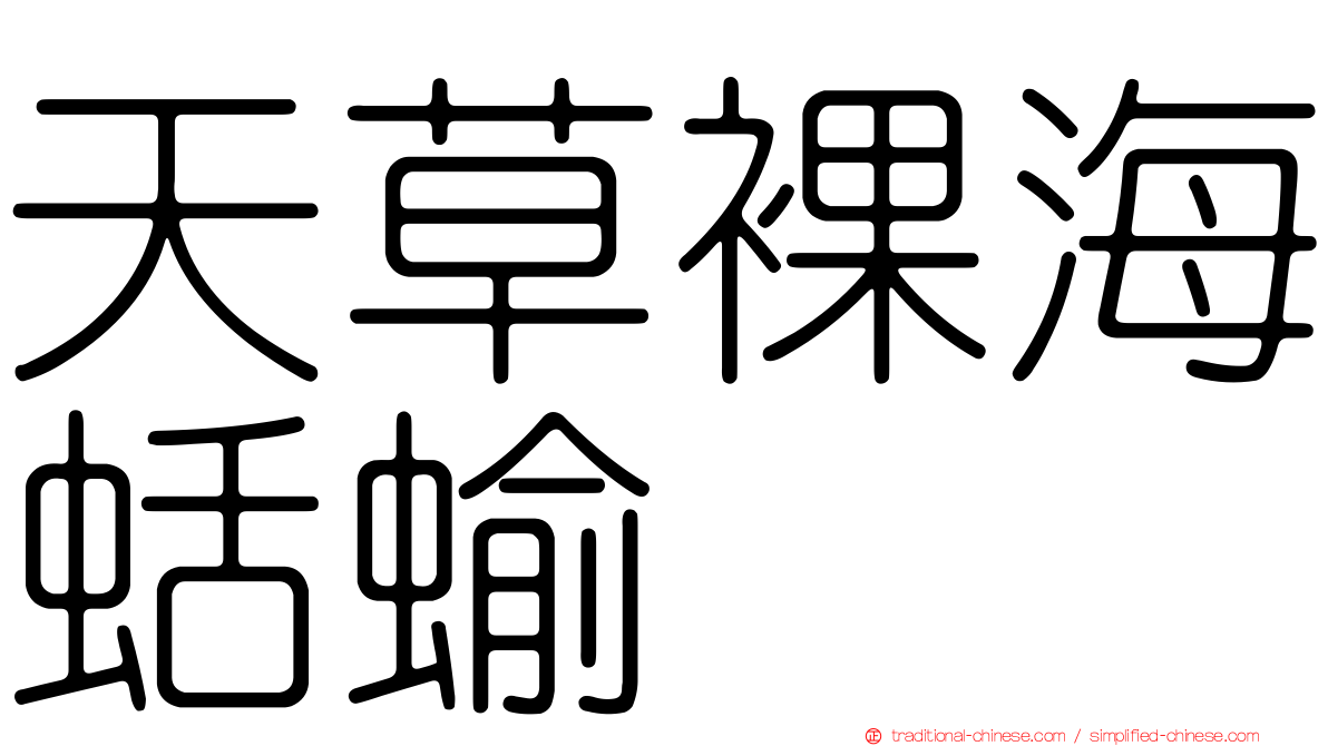 天草裸海蛞蝓
