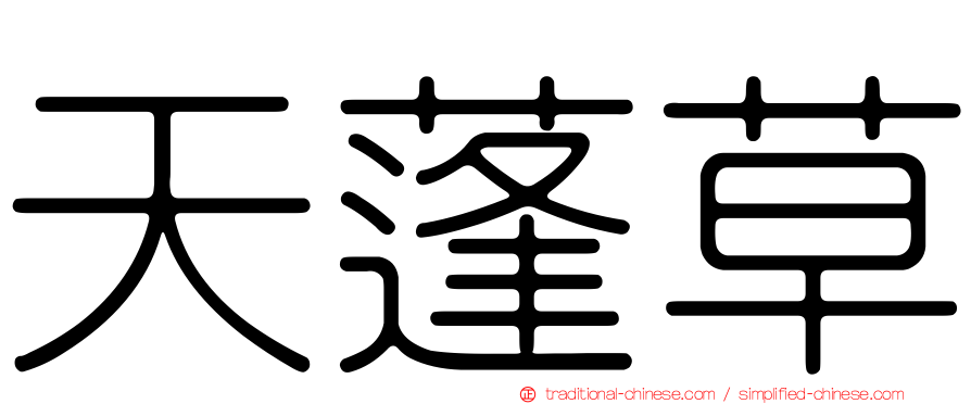 天蓬草