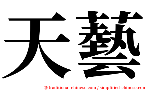天藝 serif font