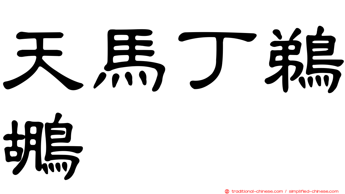 天馬丁鵜鶘