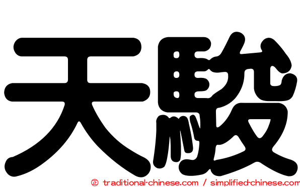 天駿