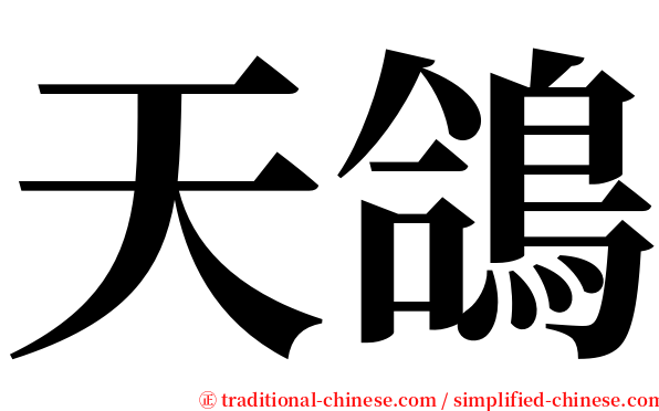天鴿 serif font