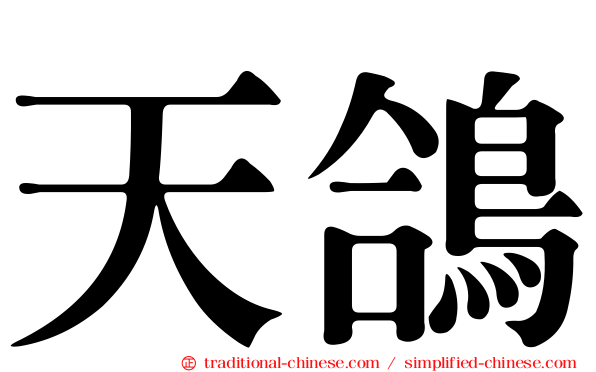 天鴿