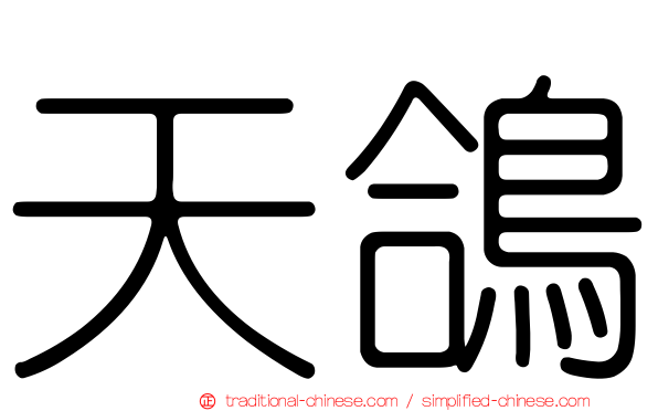 天鴿