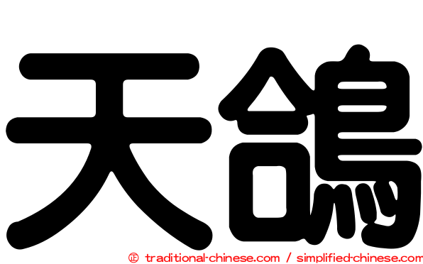 天鴿