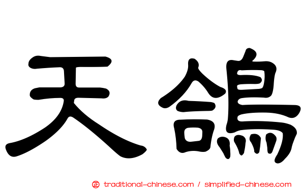 天鴿