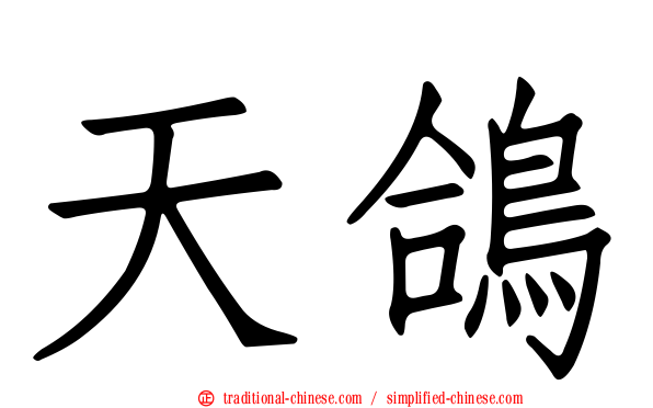 天鴿
