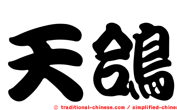 天鴿