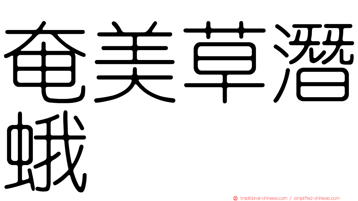 奄美草潛蛾