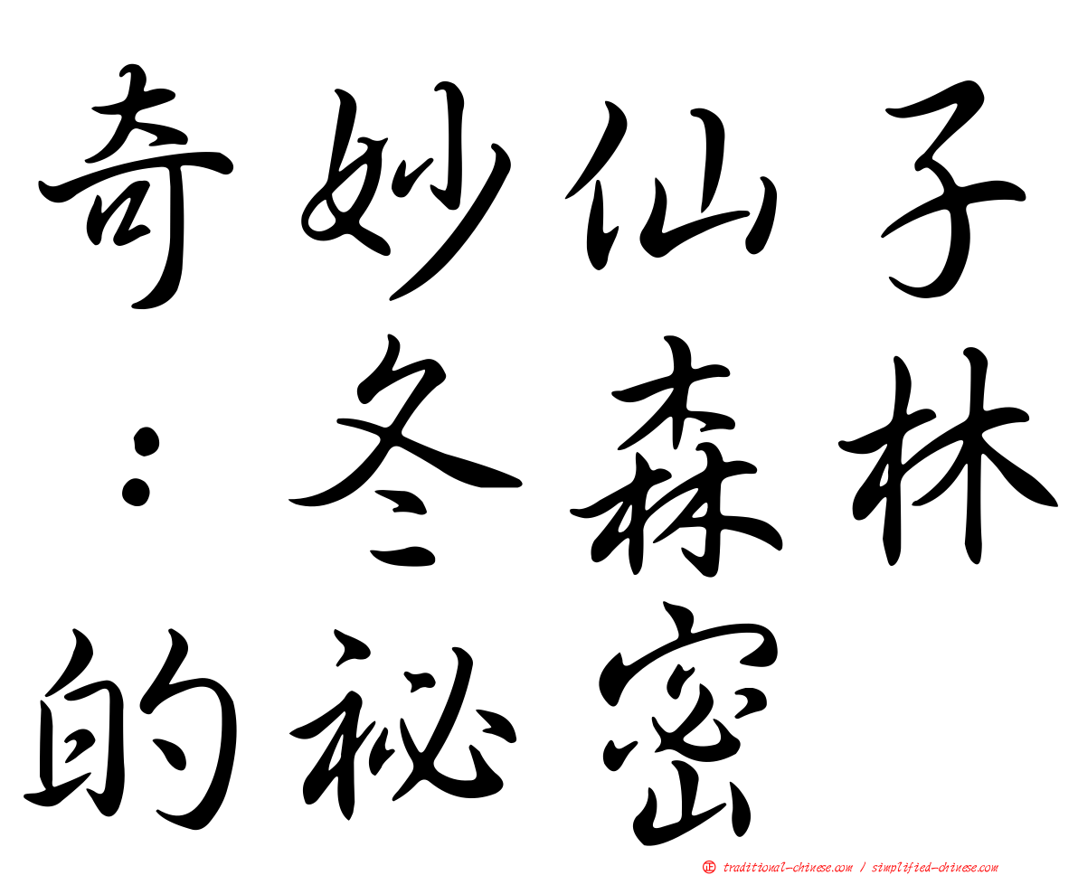 奇妙仙子：冬森林的祕密