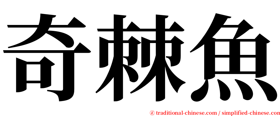奇棘魚 serif font