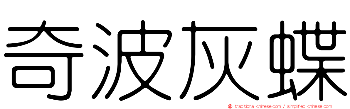 奇波灰蝶