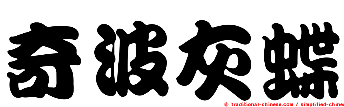 奇波灰蝶