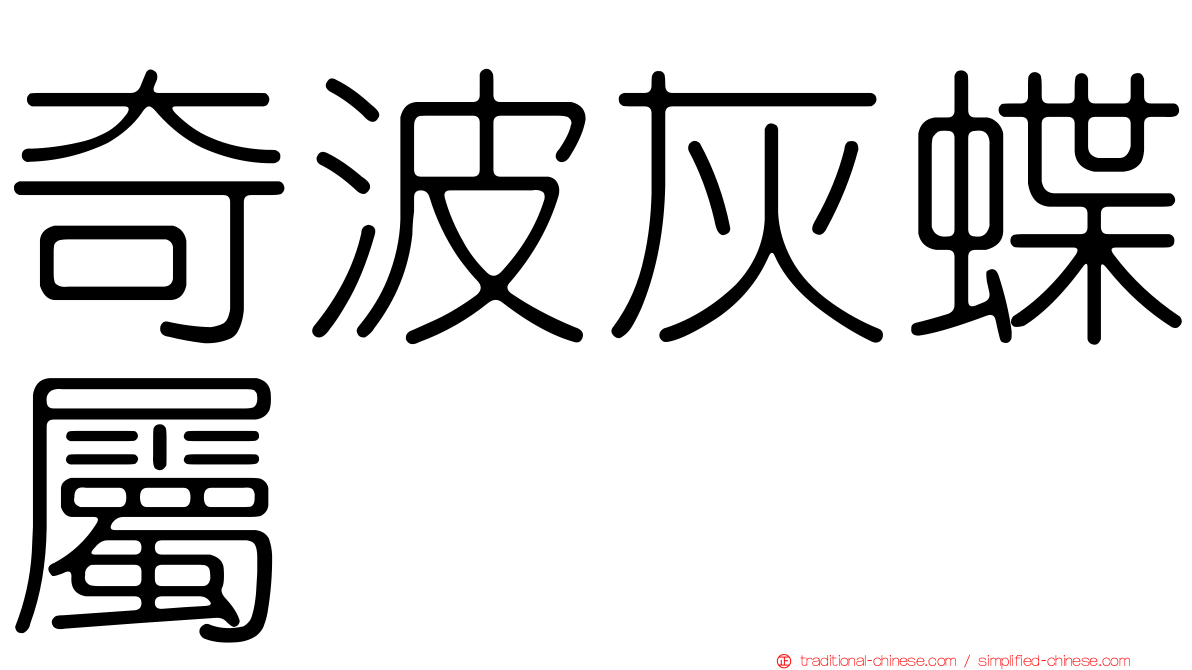 奇波灰蝶屬