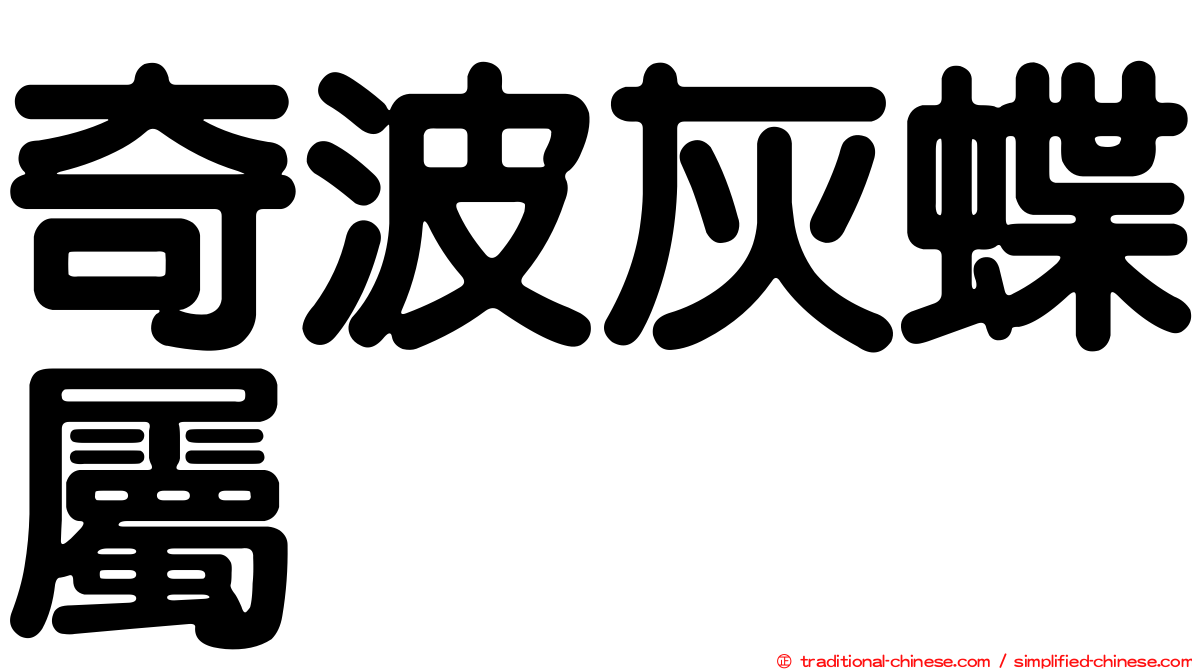 奇波灰蝶屬
