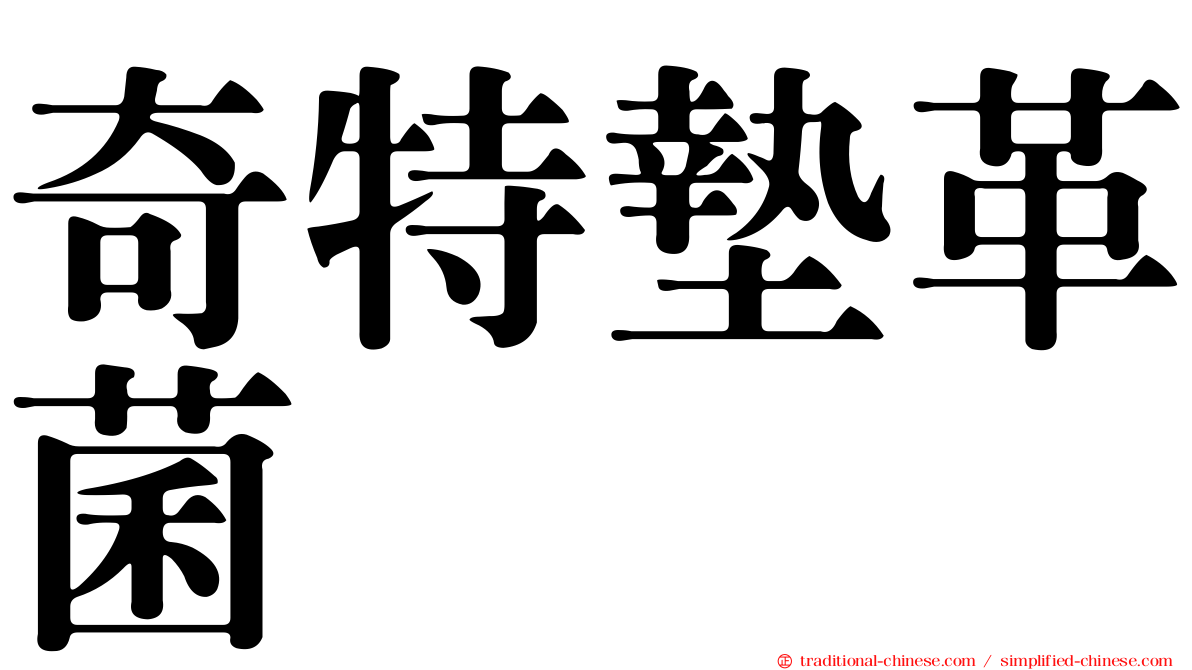 奇特墊革菌