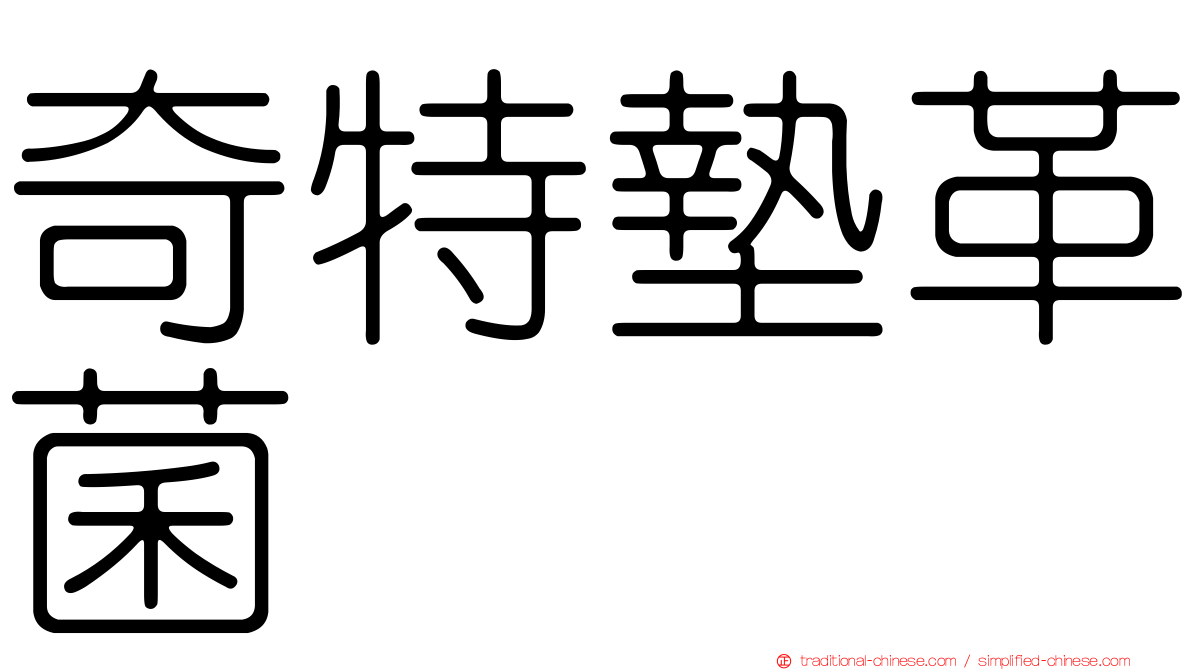 奇特墊革菌