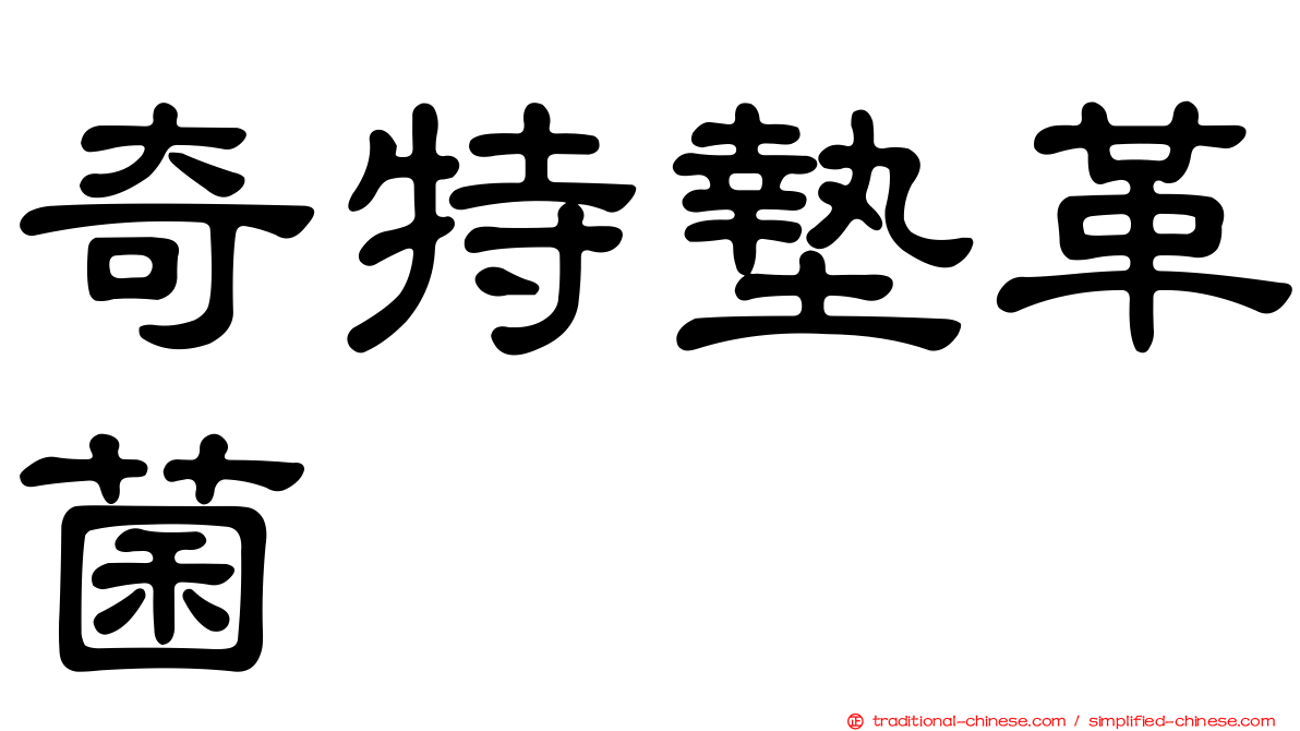 奇特墊革菌