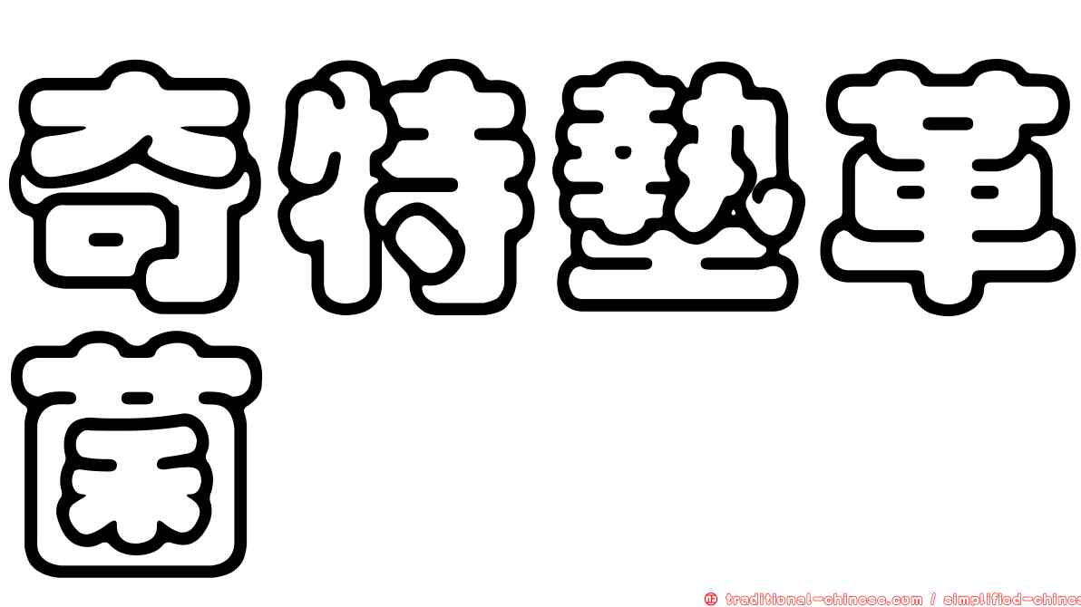 奇特墊革菌