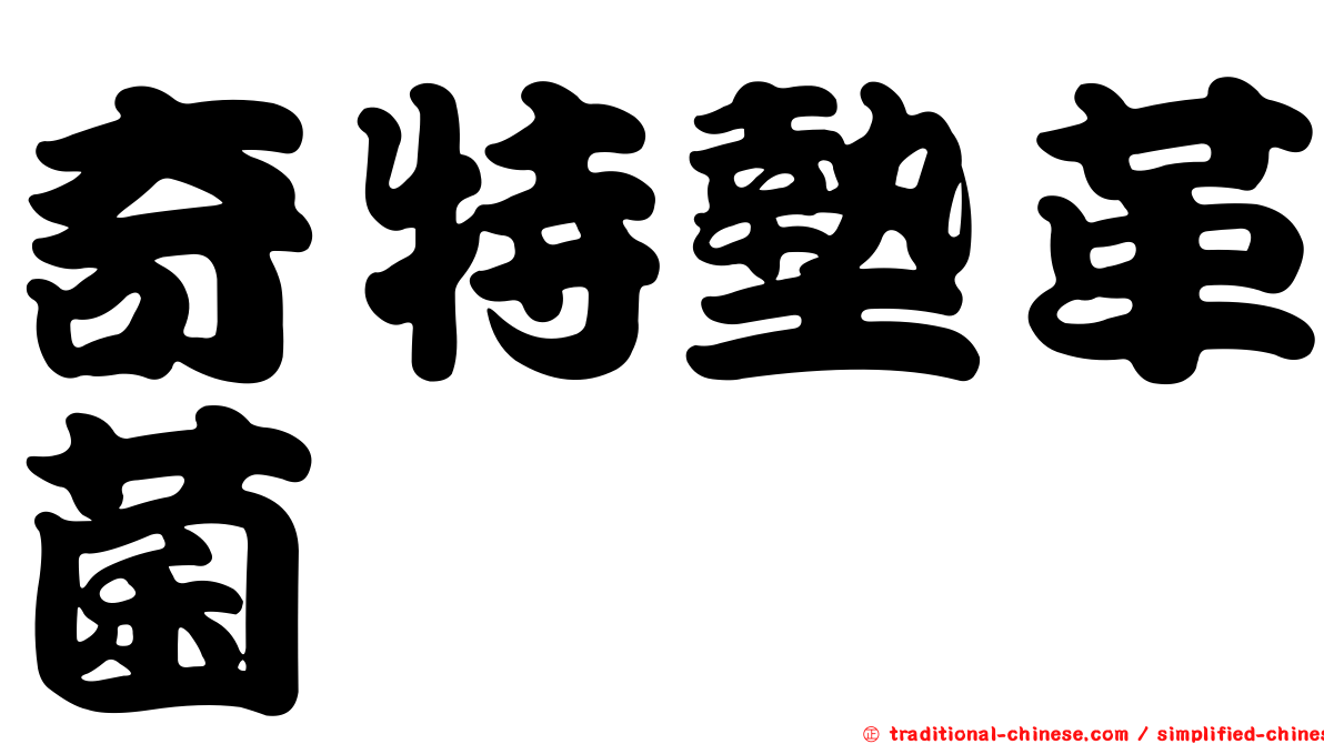 奇特墊革菌
