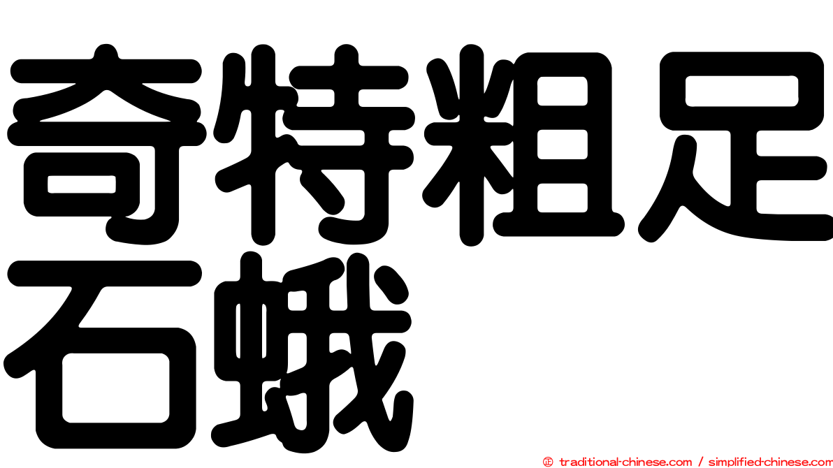 奇特粗足石蛾