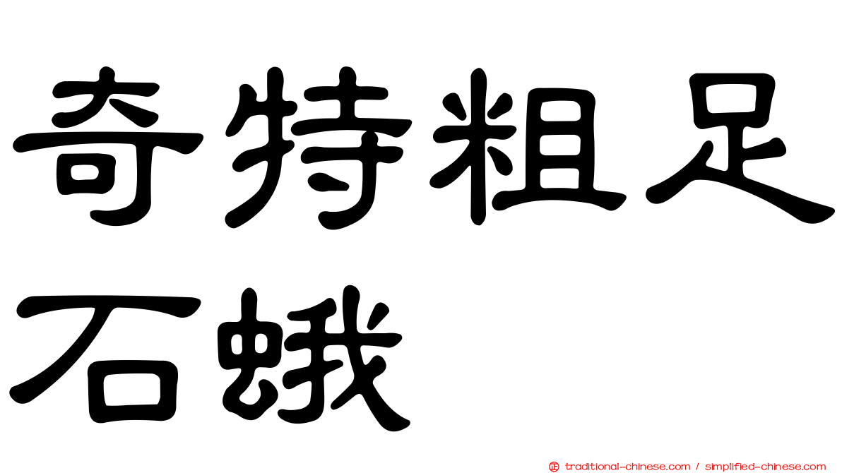 奇特粗足石蛾