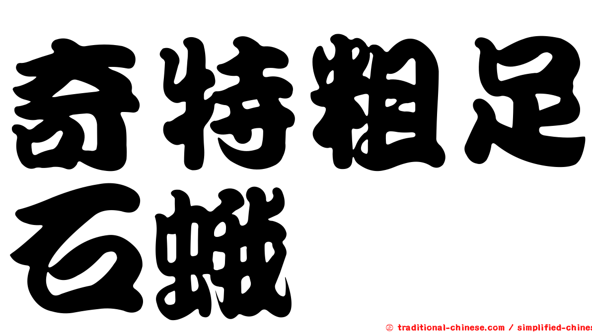 奇特粗足石蛾