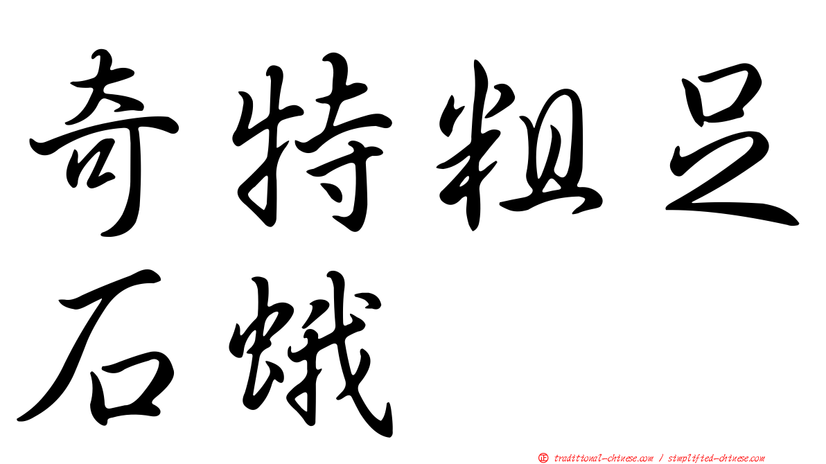 奇特粗足石蛾