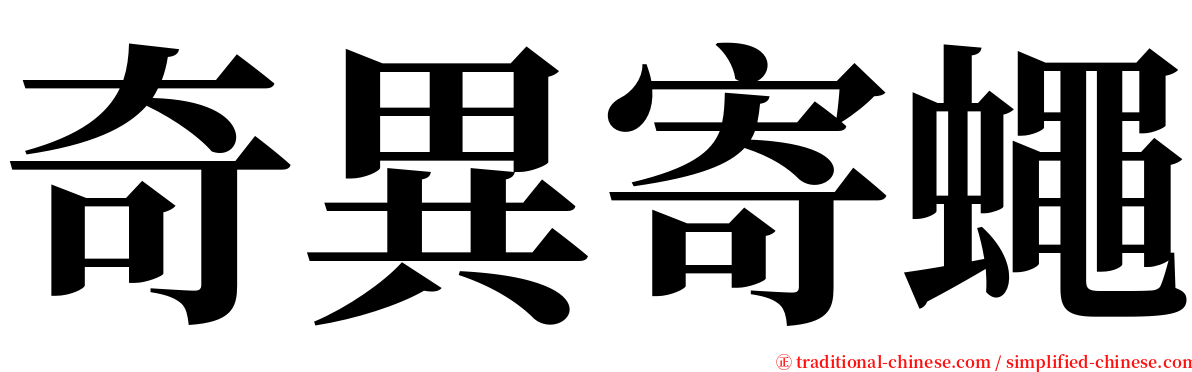 奇異寄蠅 serif font