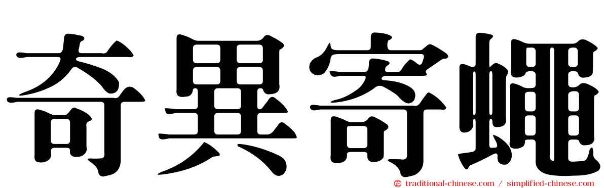 奇異寄蠅