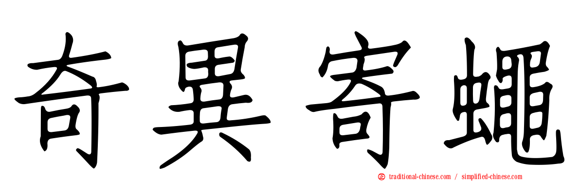 奇異寄蠅