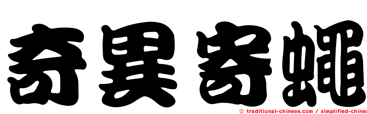 奇異寄蠅